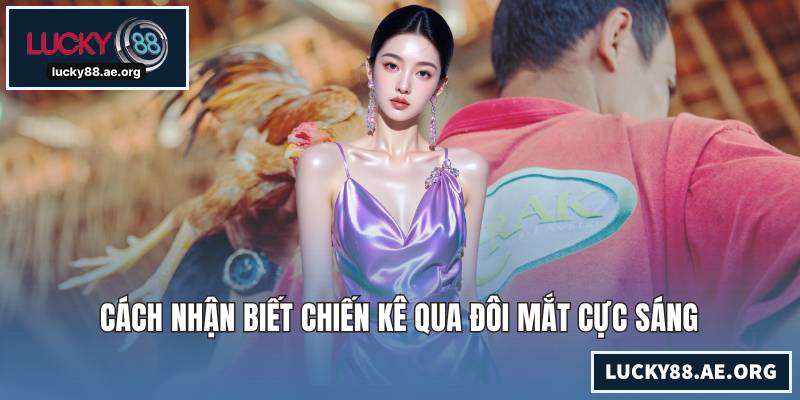 Cách nhận biết chiến kê qua đôi mắt cực sáng