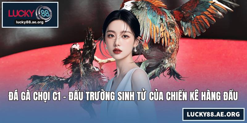 Đá Gà Chọi C1 - Đấu Trường Sinh Tử Của Chiến Kê Hàng Đầu Đá Gà Chọi C1 - Đấu Trường Sinh Tử Của Chiến Kê Hàng Đầu