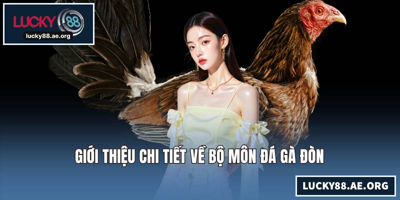 Giới thiệu chi tiết về bộ môn đá gà đòn