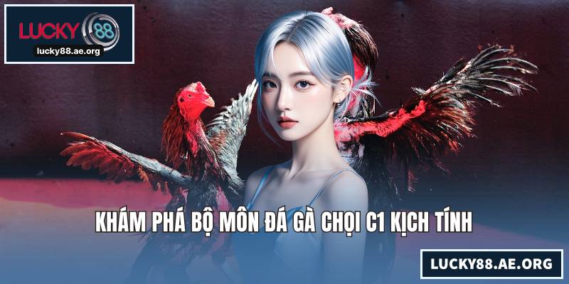 Đá Gà Chọi C1 - Đấu Trường Sinh Tử Của Chiến Kê Hàng Đầu Khám phá bộ môn đá gà chọi C1 kịch tính